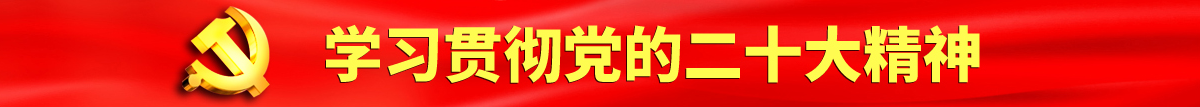 大鸡巴操骚穴认真学习贯彻落实党的二十大会议精神